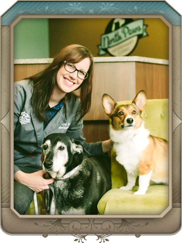 maple grove veterinary