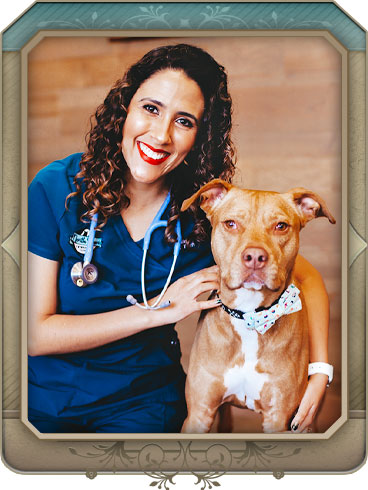 Veterinarians of North Paws Veterinary Clinic